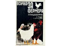 All about the farmer: Poultry Farm - Boris Gyurov, Simeon Dimitrov