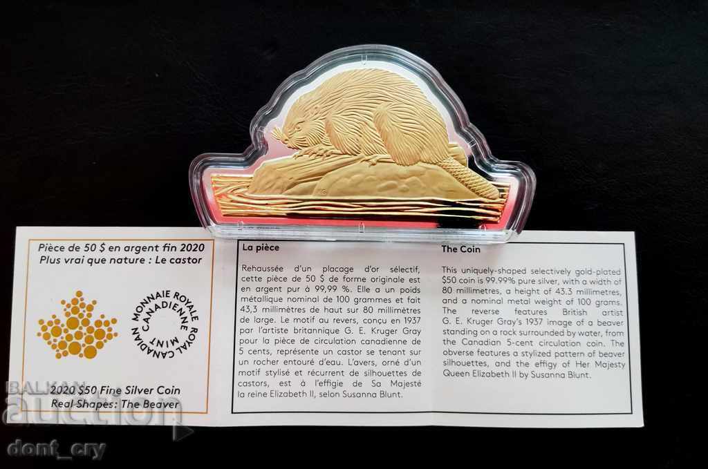 Silver 100 gr. Beaver 2020 Canada 50 Dollars - 5 Silver 100 gr. Beaver 2020 Canada 50 Dollars - 5