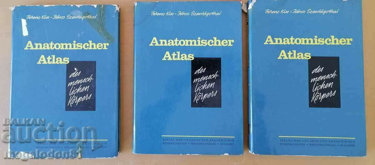 Atlas of the Human Body - F. Kiss, Volume 1-3