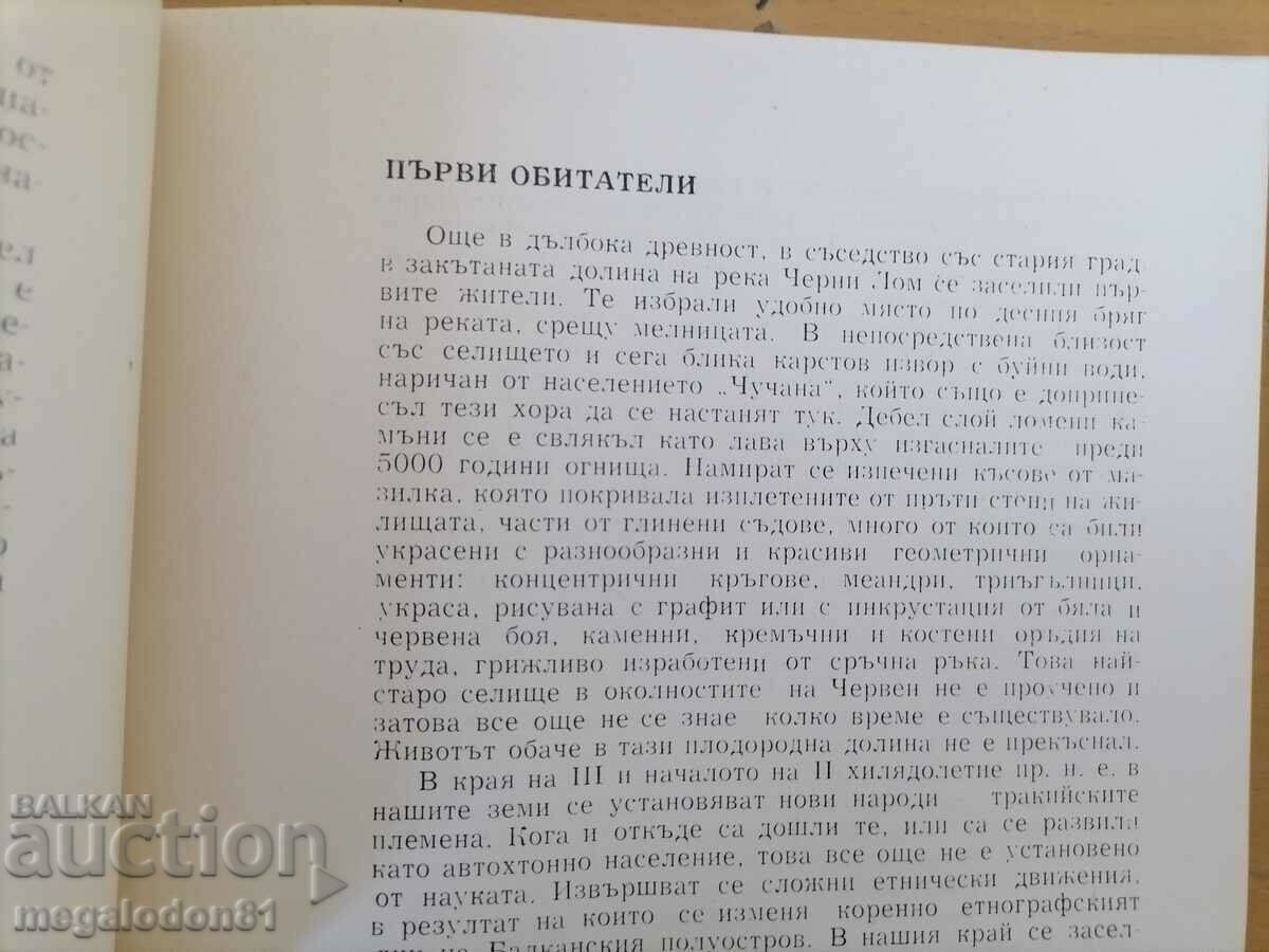 Auction  Guide - Red