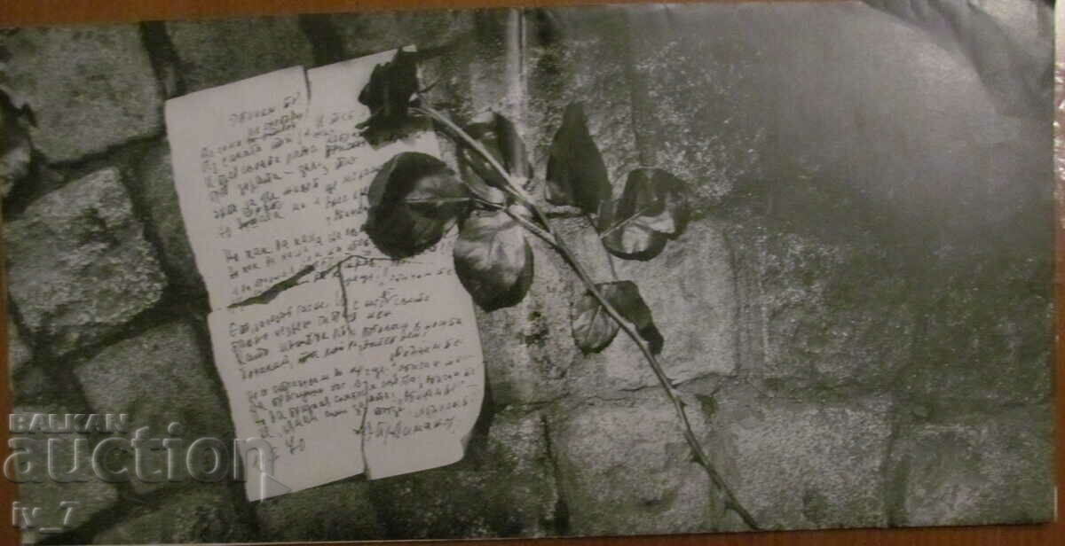 RECORD - LILY IVANOVA-DOUBLE ALBUM, large format with price 3.99 BGN | € 2.04