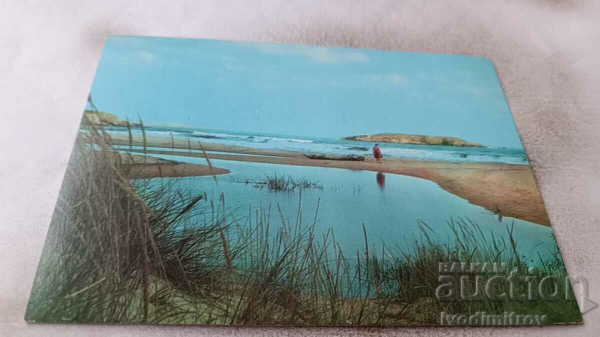 Postcard Arcutino Beach