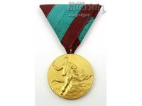 Μετάλλιο συμμετοχής στον αντιφασιστικό αγώνα 1923-Τέλειο