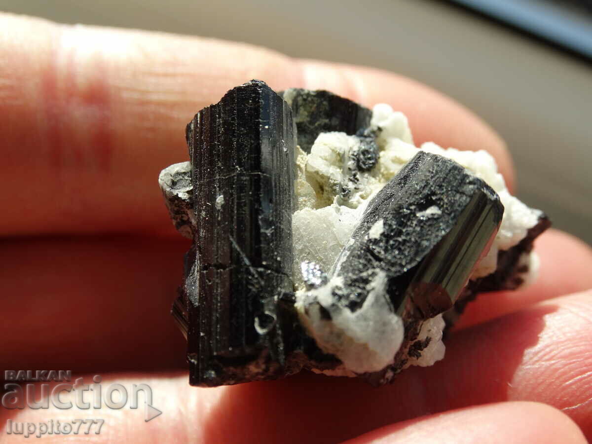 естествен черен турмалин на матрица уникат 25 грама с цена 99.00 лв. | € 50.62 естествен черен турмалин на матрица уникат 25 грама с цена 99.00 лв. | € 50.62