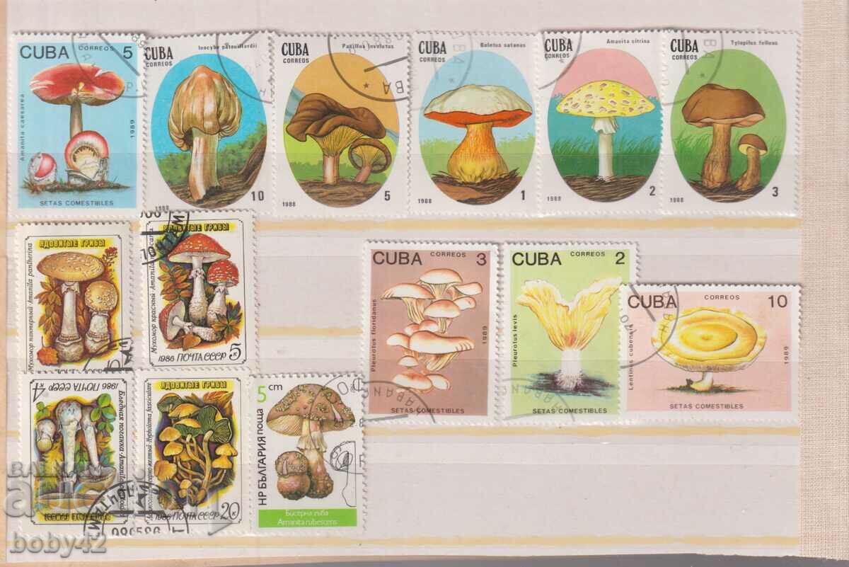 Flora- Μανιτάρια, Κούβα 14 γραμματόσημα