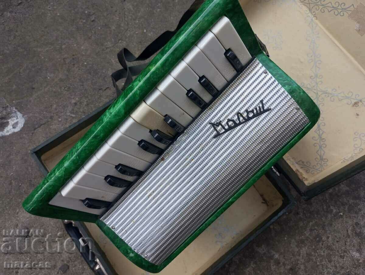 Livrarea Acordeon pentru copii vechi cu o valiză.
