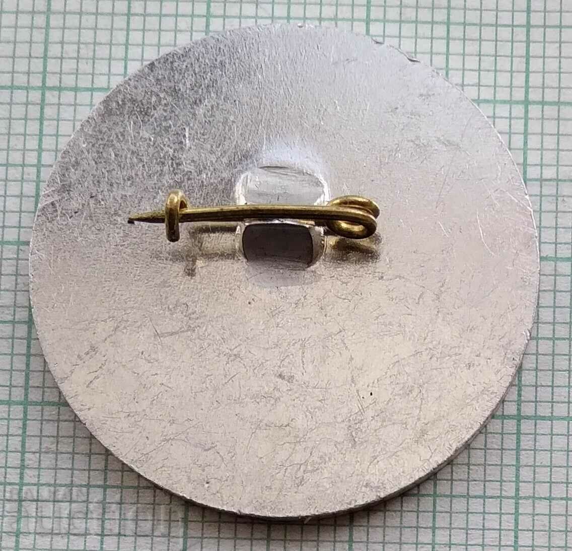 Auction  14833 Badge - Best mentor in Staro Zagora district