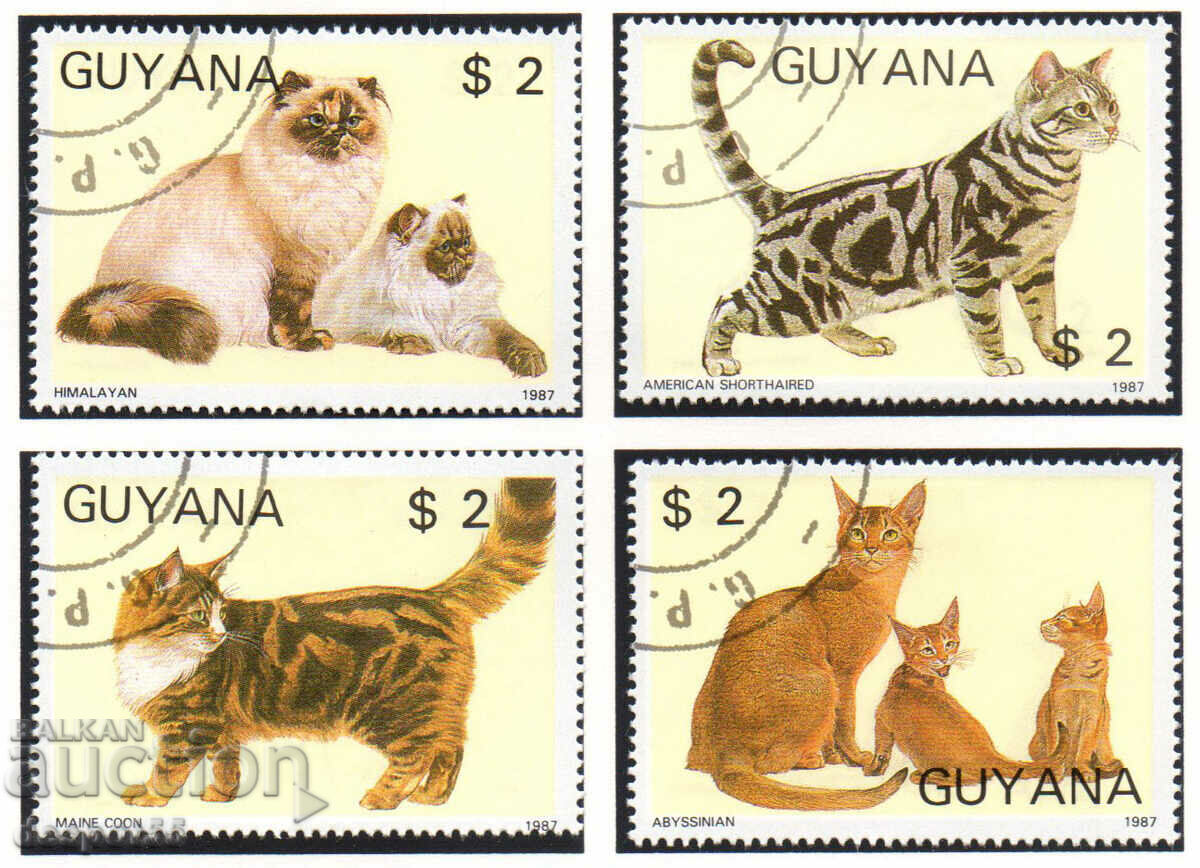 1988. Guyana. Pisicile.