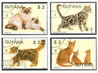 1988. Guyana. Cats.