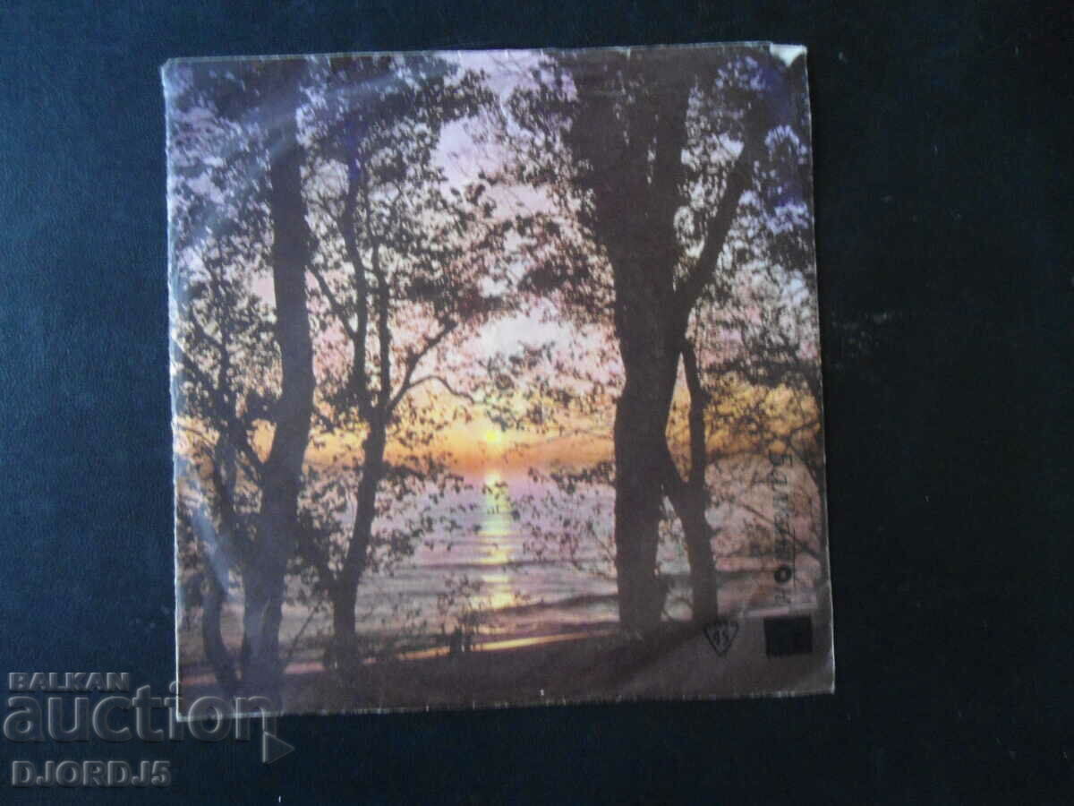 Auction If Iman hammer, VTK 2705, gramophone record, small Auction If Iman hammer, VTK 2705, gramophone record, small