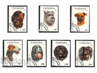 1993. Tanzania. Dogs.