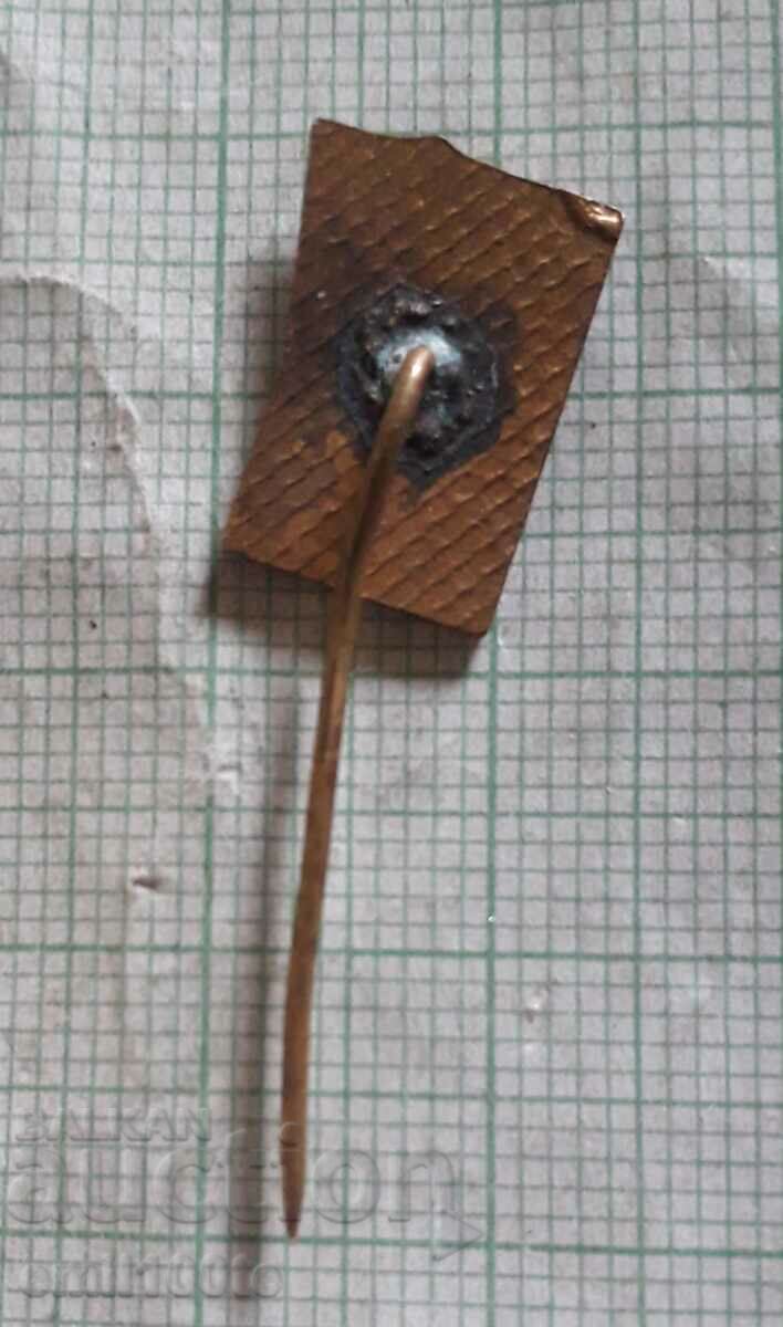 Delivery of Badge - SM Homeland Delivery of Badge - SM Homeland