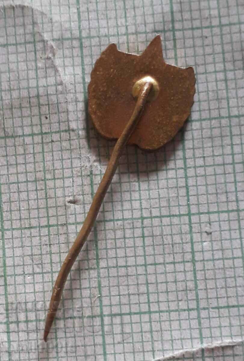 Badge - Red Star Football Club Ruda Hvezda Czechoslovakia - 5 Badge - Red Star Football Club Ruda Hvezda Czechoslovakia - 5