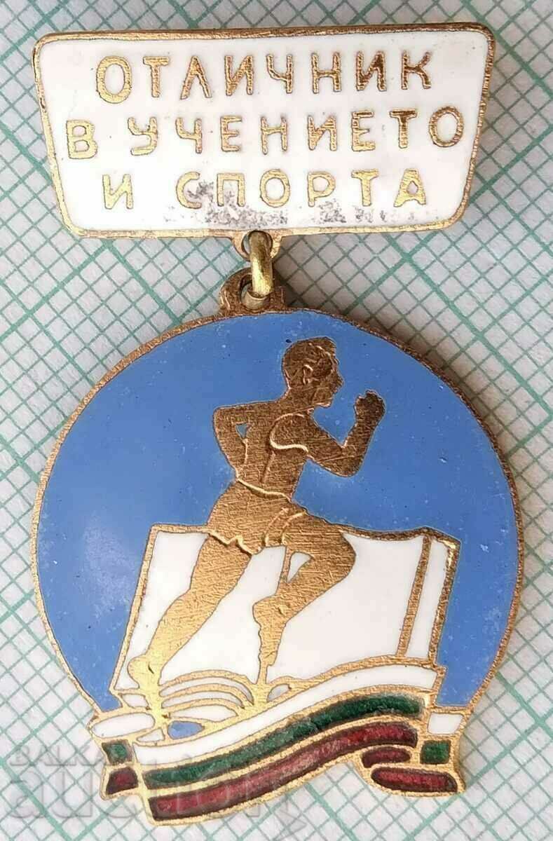 14837 Badge - Academic and Sports Excellence - Bronze Enamel 14837 Badge - Academic and Sports Excellence - Bronze Enamel