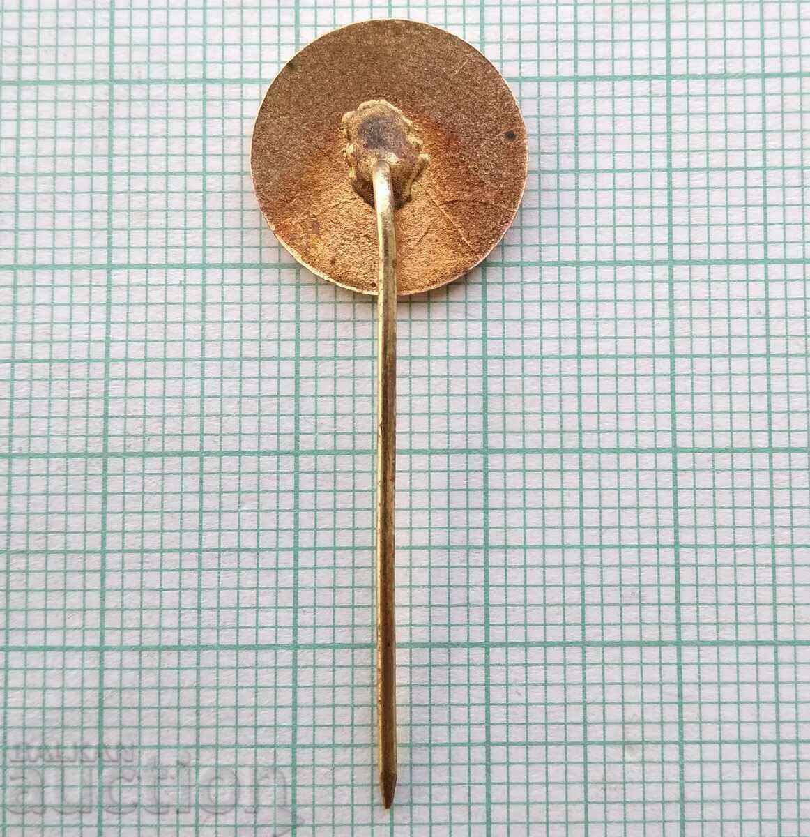 14839 FC "CSKA ChZ" Red flag 1963-1968 - bronze enamel - 6 14839 FC "CSKA ChZ" Red flag 1963-1968 - bronze enamel - 6