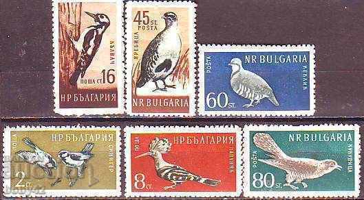 BC 1162-167 Useful birds