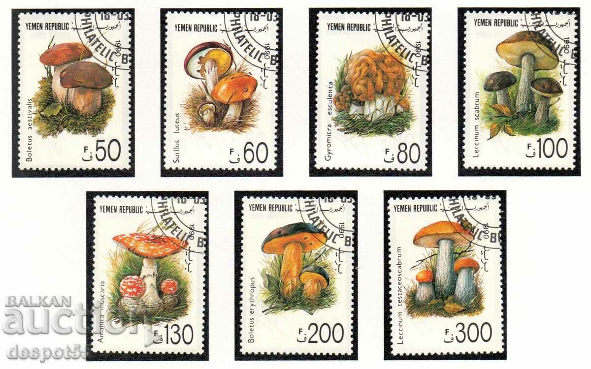 1991. Yemen. Mushrooms.