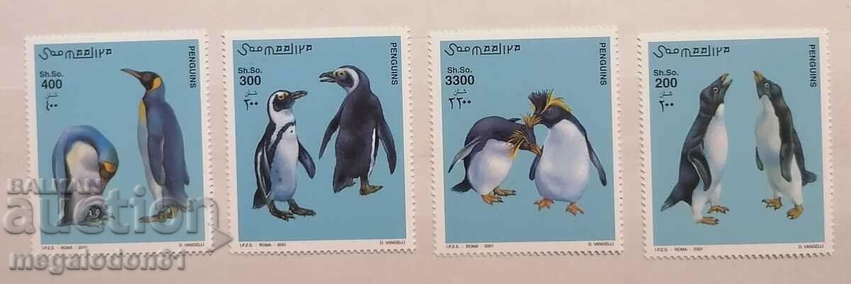 Сомалия - фауна, пингвина