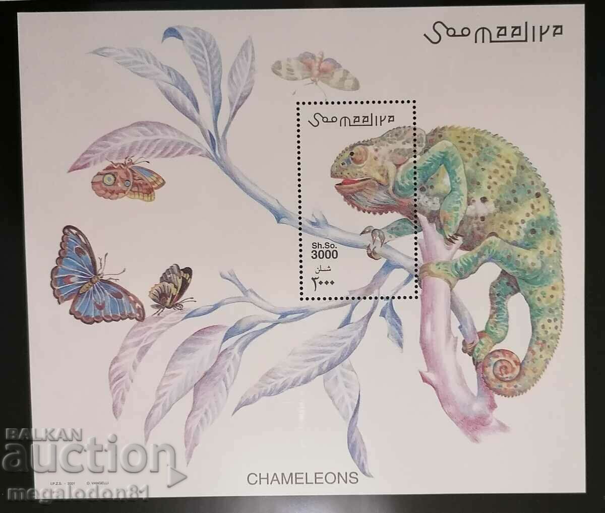 Somalia - fauna, chameleons