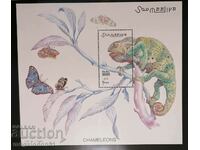 Somalia - fauna, chameleons