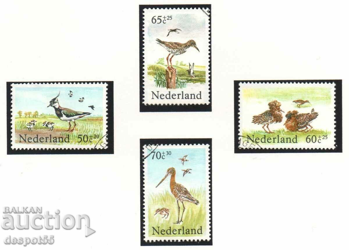 1984. Olanda. Păsări - timbre de caritate.