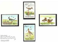 1984. Ολλανδία. Πουλιά - γραμματόσημα φιλανθρωπίας.