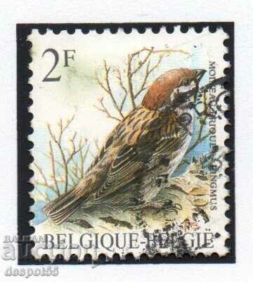 1989. Belgium. Birds.