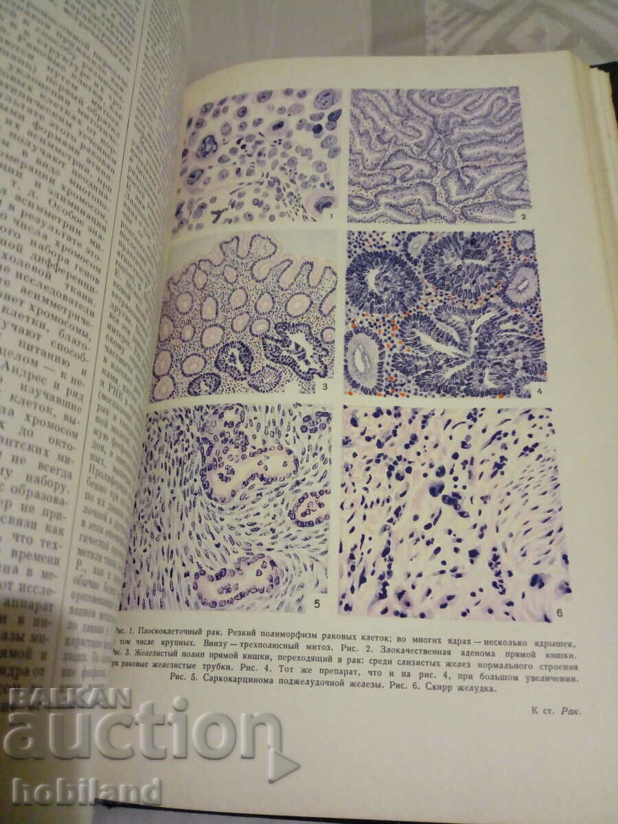 Delivery of Big Medical Encyclopedia/27 Delivery of Big Medical Encyclopedia/27