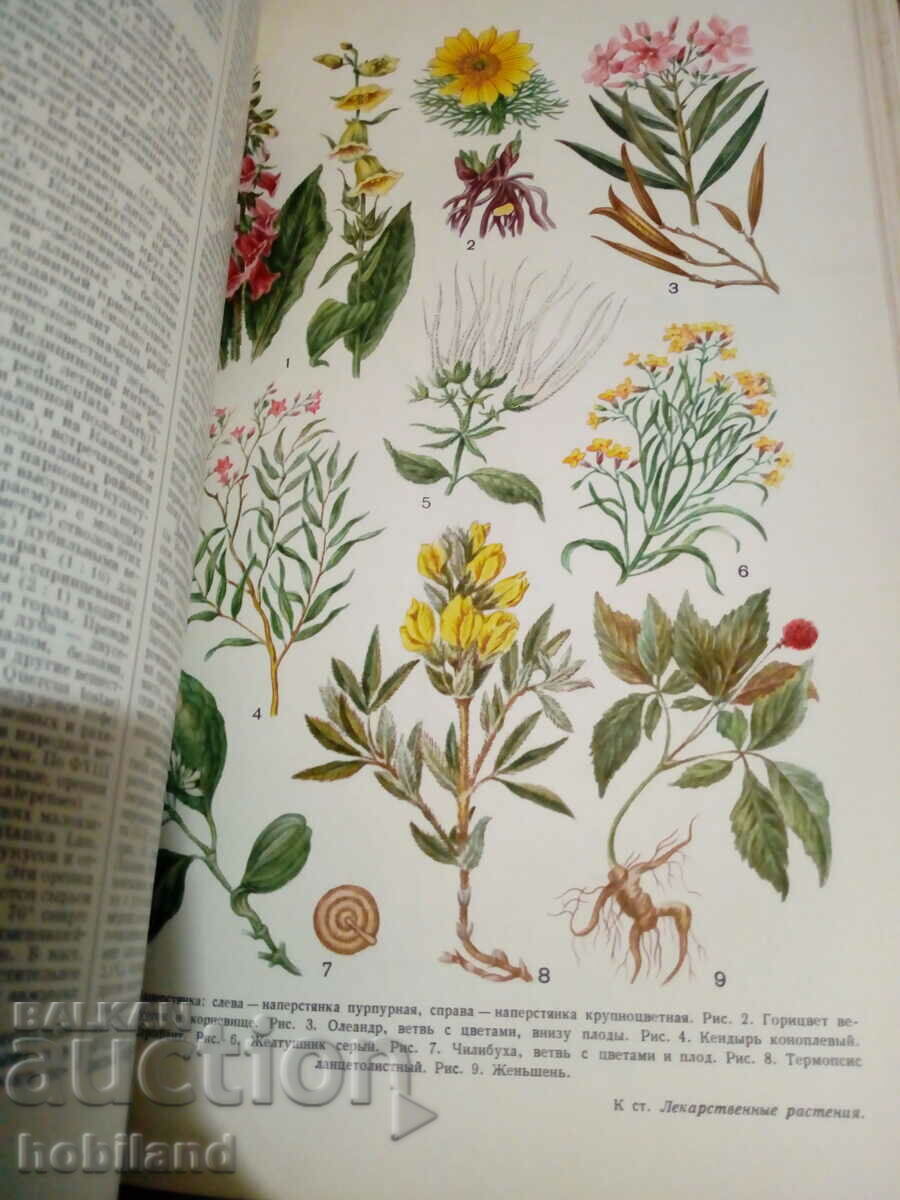 Marea enciclopedie medicală/15 - 7