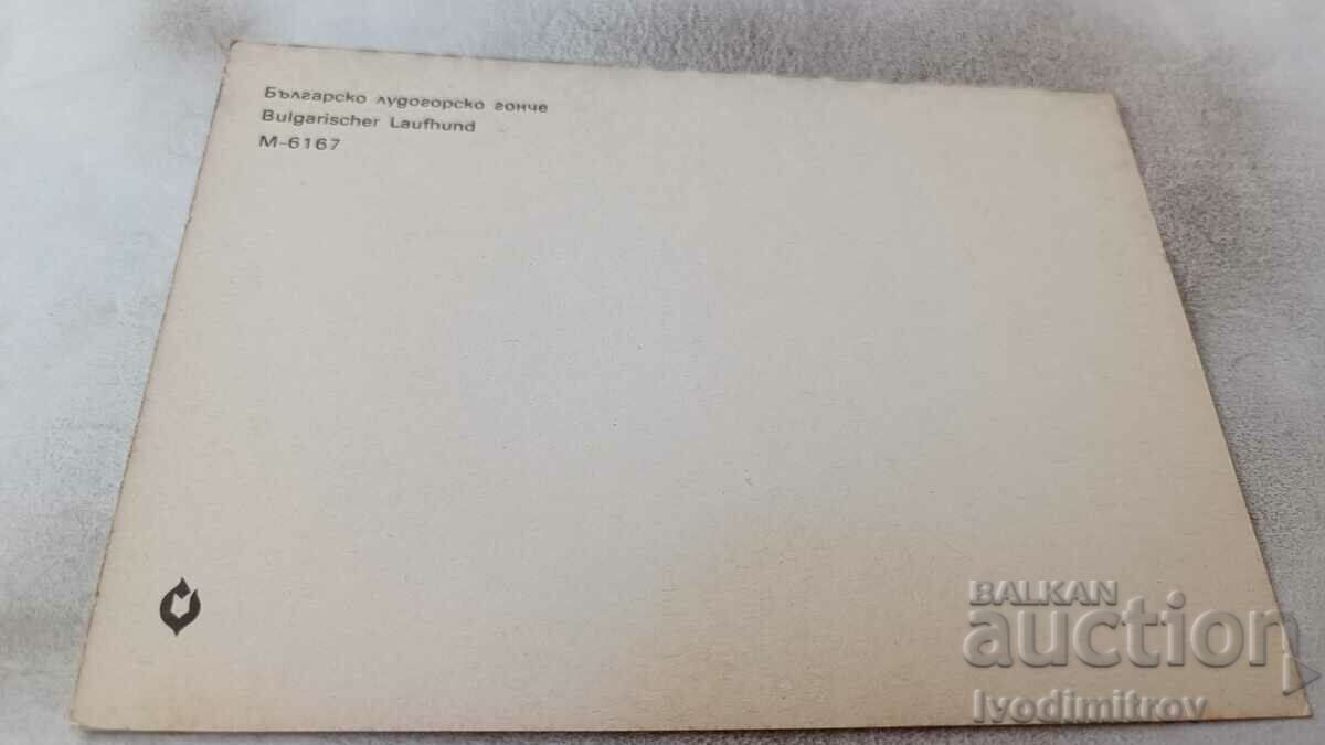 Postcard Bulgarian Ludogorsk Beagle with price 1.45 BGN | € 0.74 Postcard Bulgarian Ludogorsk Beagle with price 1.45 BGN | € 0.74