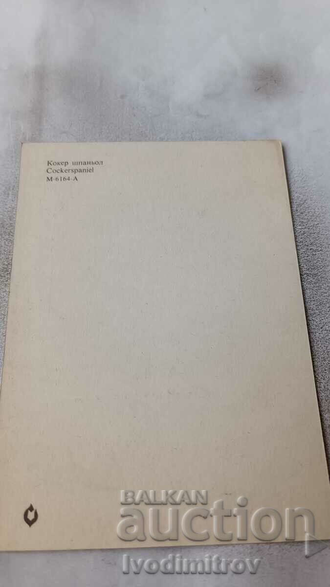 Cocker spaniel postcard with price 1.45 BGN | € 0.74 Cocker spaniel postcard with price 1.45 BGN | € 0.74