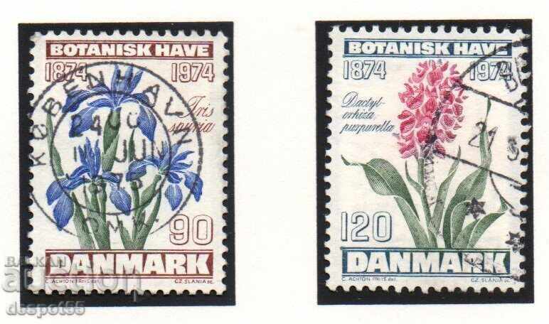 1974. Denmark. Flowers - Copenhagen Botanical Garden.