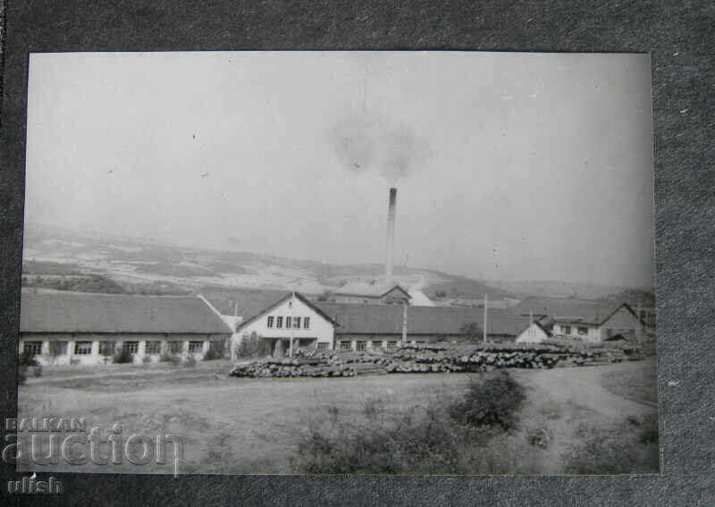 Andrey Zhdanov Woodworking Plant Brtsigovo 1950 with price 40.00 BGN | € 20.45 Andrey Zhdanov Woodworking Plant Brtsigovo 1950 with price 40.00 BGN | € 20.45