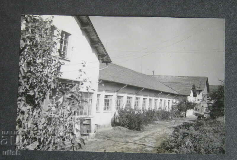 Auction Andrey Zhdanov Woodworking Plant Brtsigovo 1950 Auction Andrey Zhdanov Woodworking Plant Brtsigovo 1950