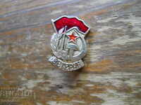 veteran badge