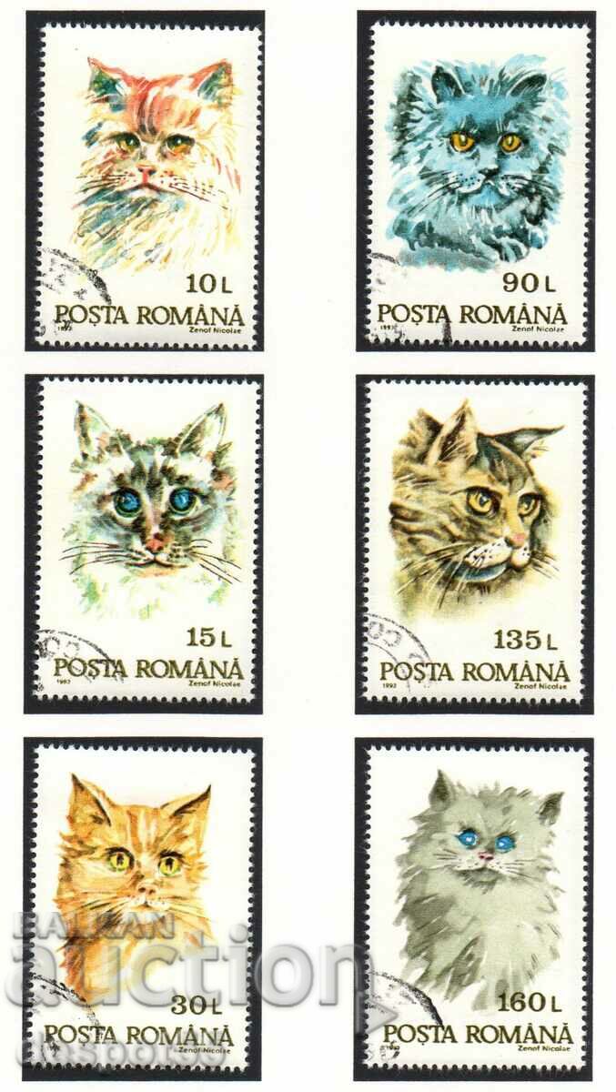 1993. Румъния. Котки.