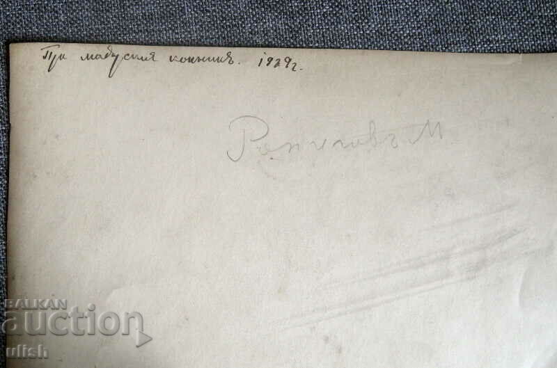 Delivery of 1929 Royal maneuvers collective photo Madarski horseman