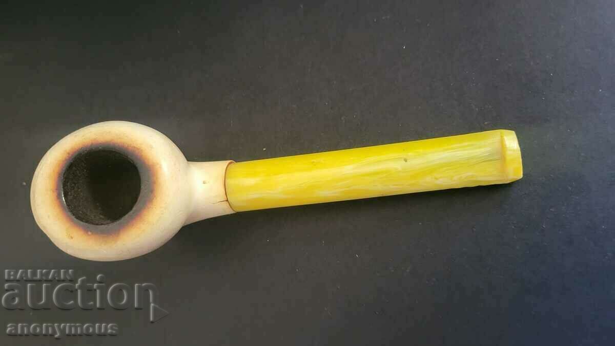 Pipa de arici de mare cu cap cu preț 75.00 BGN | € 38.35 Pipa de arici de mare cu cap cu preț 75.00 BGN | € 38.35