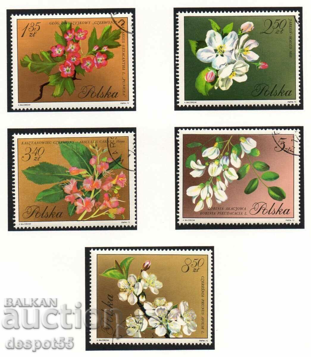 1971. Poland. Flowering trees. with price 2.70 BGN | € 1.38 1971. Poland. Flowering trees. with price 2.70 BGN | € 1.38