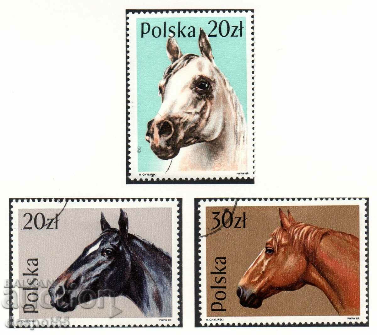 1989. Poland. Horses.