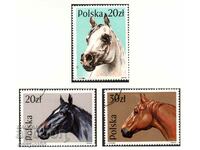 1989. Poland. Horses.