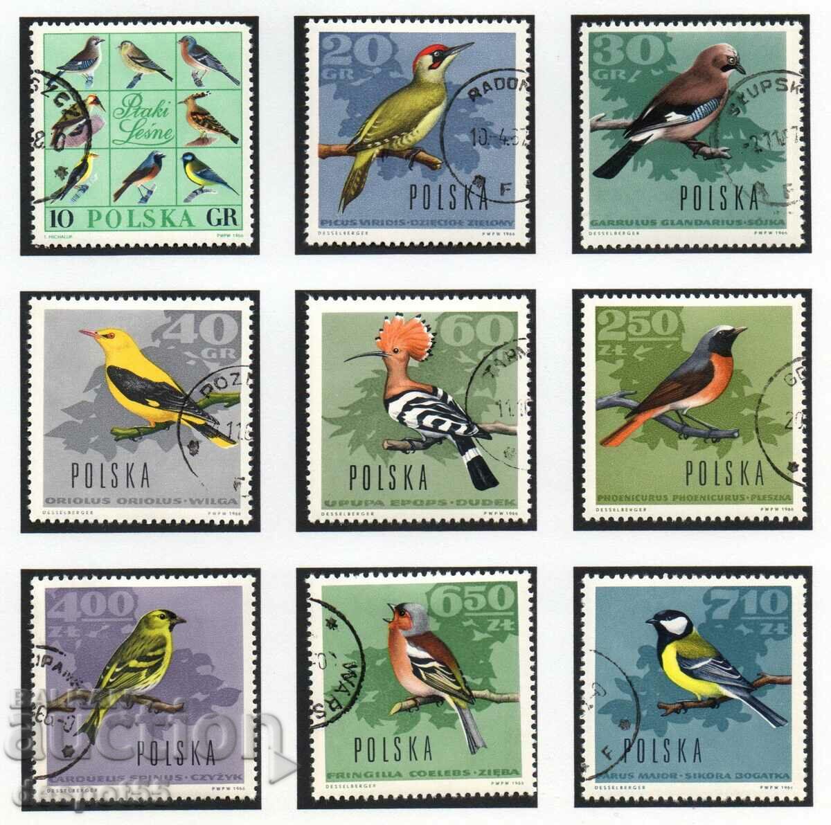1966. Polonia. Păsări de pădure.