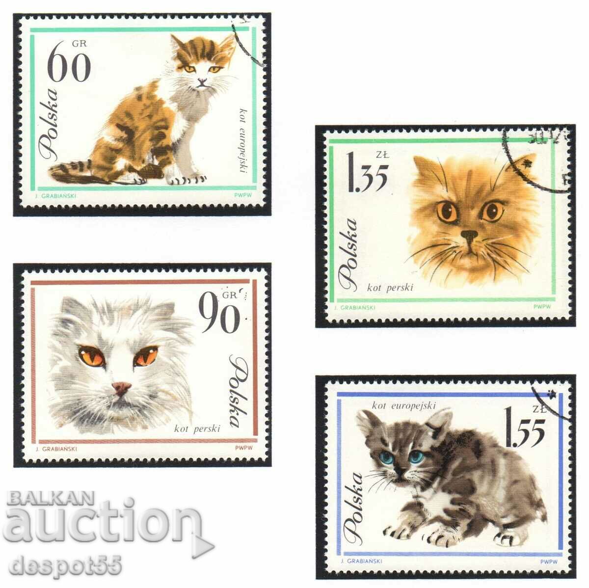 1964. Poland. Cats. with price 4.30 BGN | € 2.20