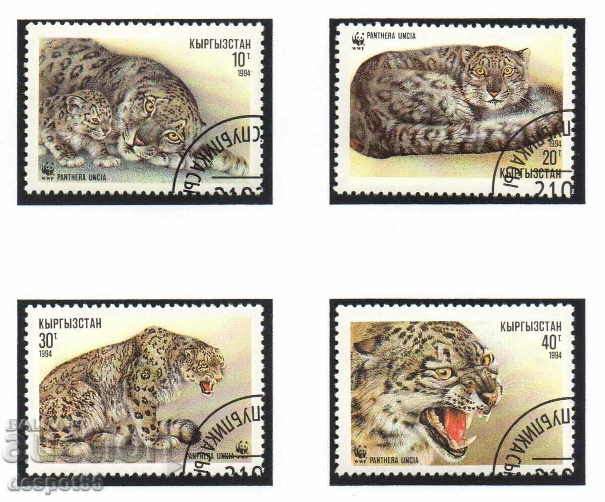 1994. Киргизстан. Снежният леопард.