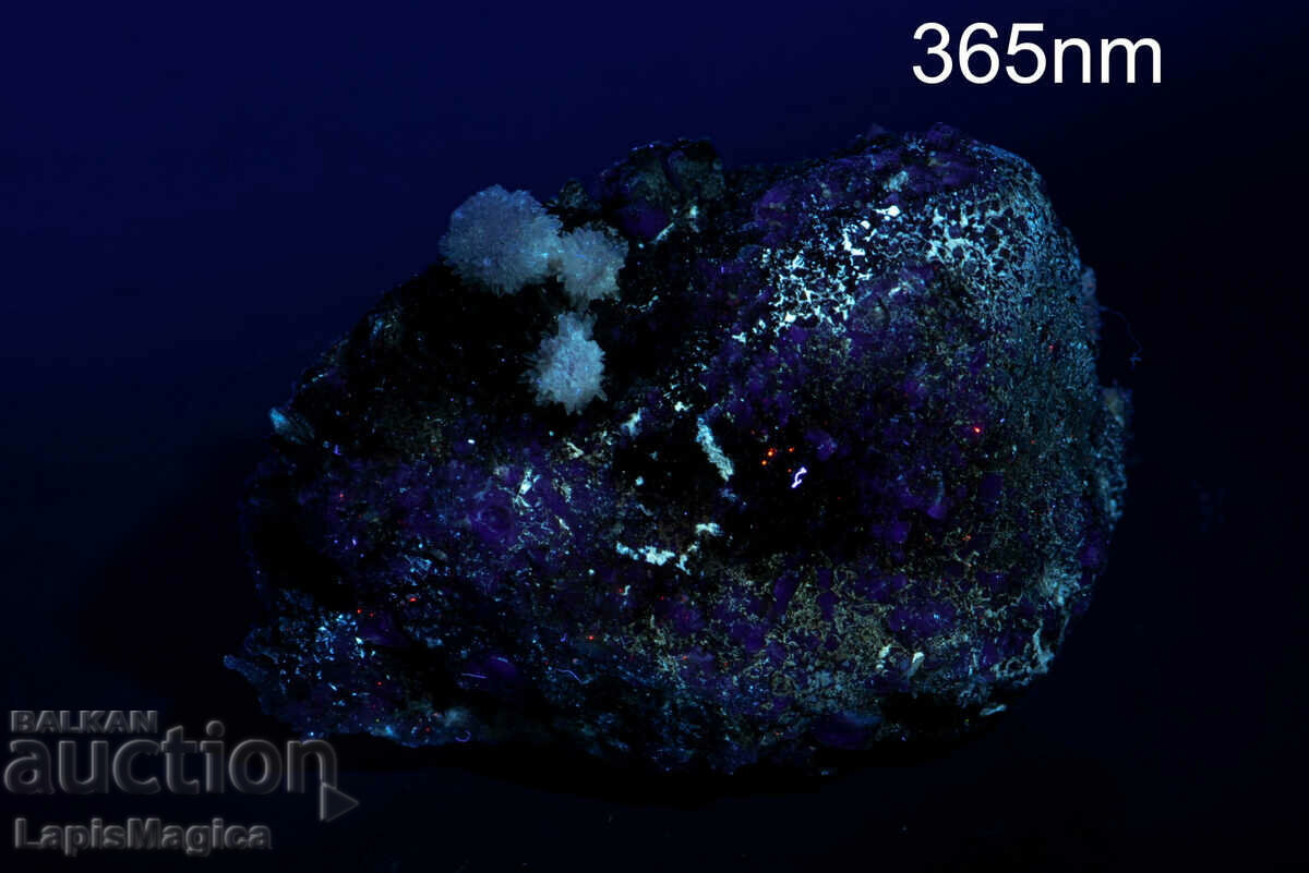 Violet credit on matrix 97.7g - 5 Violet credit on matrix 97.7g - 5