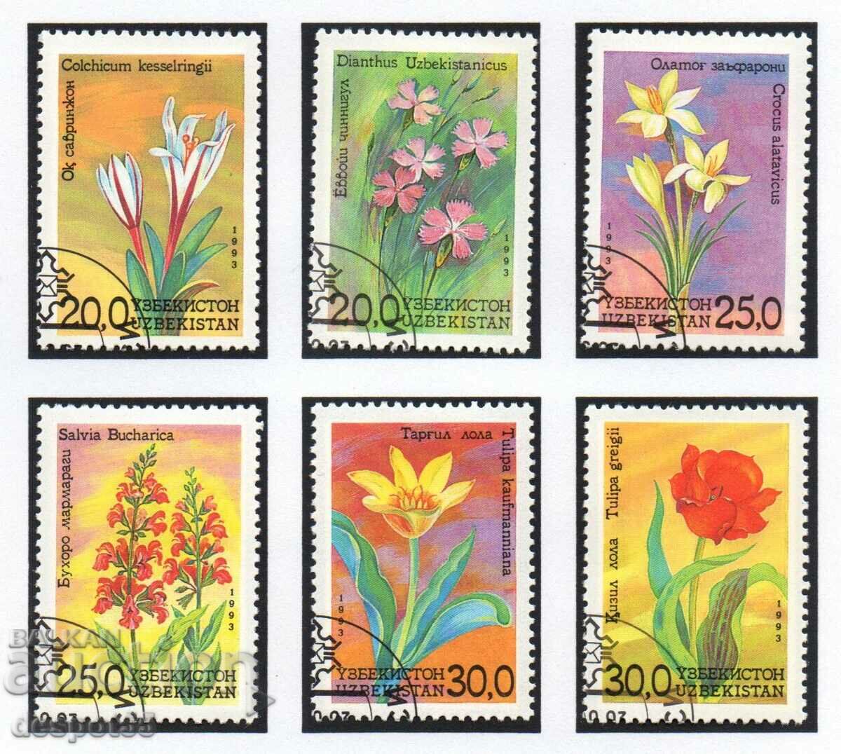 1993. Ουζμπεκιστάν. Τα λουλούδια του Ουζμπεκιστάν + Μπλοκ.