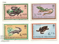 1966. Indonesia. Reptiles.
