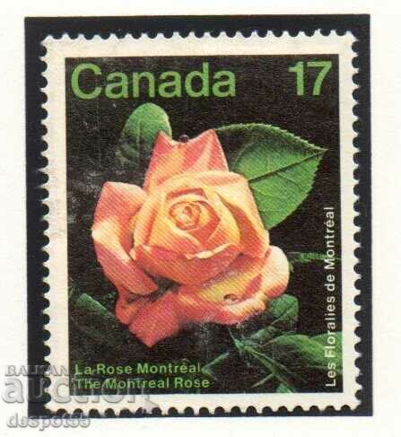 1981. Канада. Изложение на цветя в Монреал.