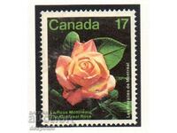 1981. Канада. Изложение на цветя в Монреал.