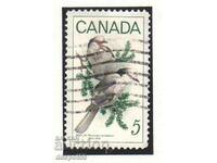 1968. Канада. Птици - сиви сойки .
